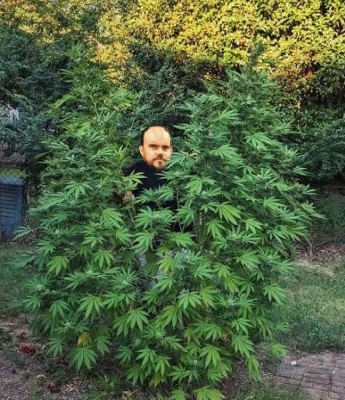 brad and his garden