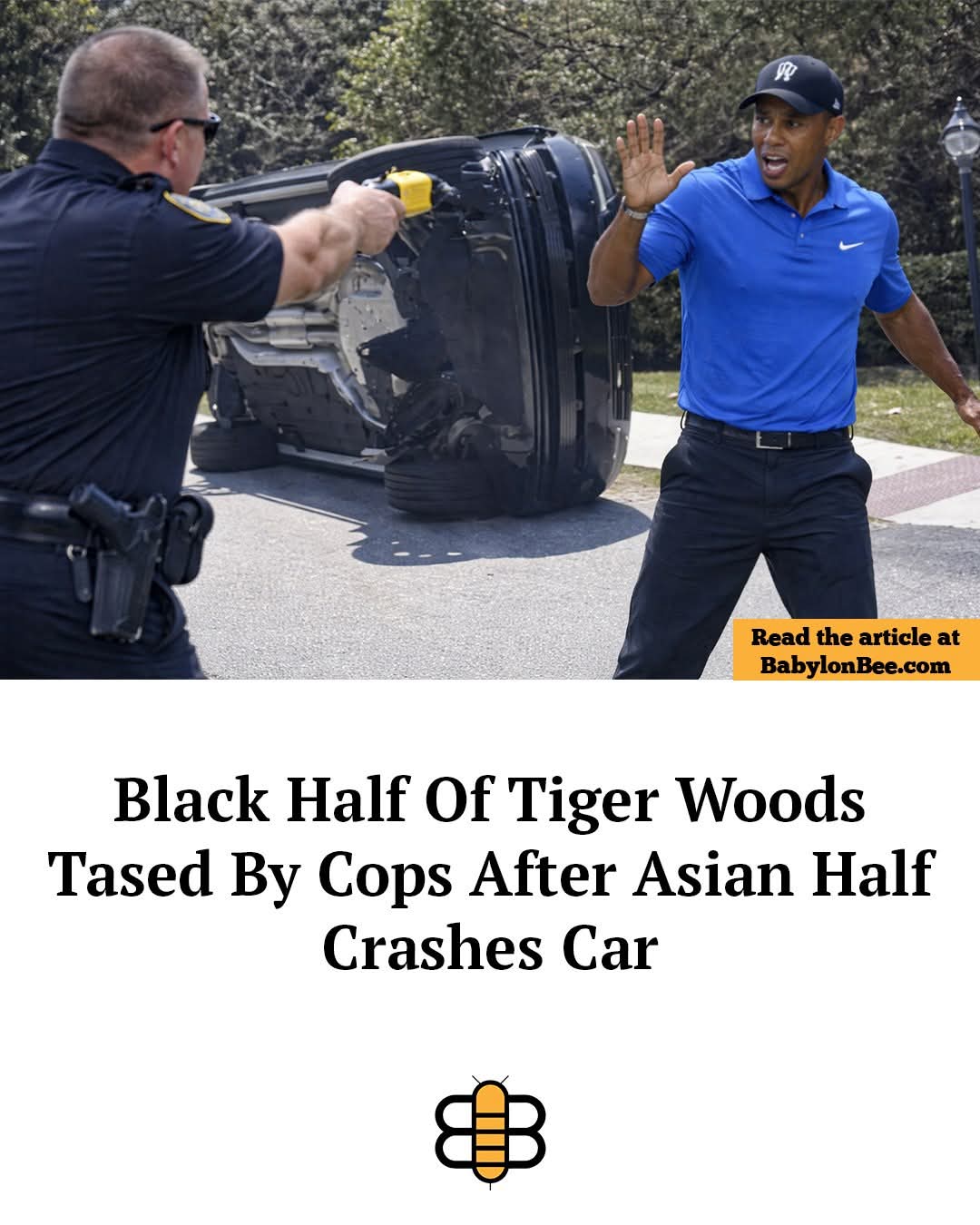 FB_IMG_1774734909651