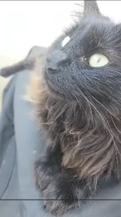 onyx