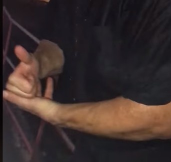 lenny drug thumbs up 2